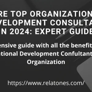 This image tells us about Organizational Development Consultants